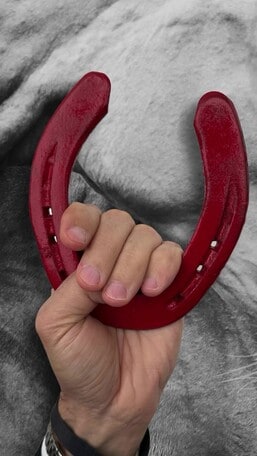 La Fise si schiera contro la violenza sulle donne