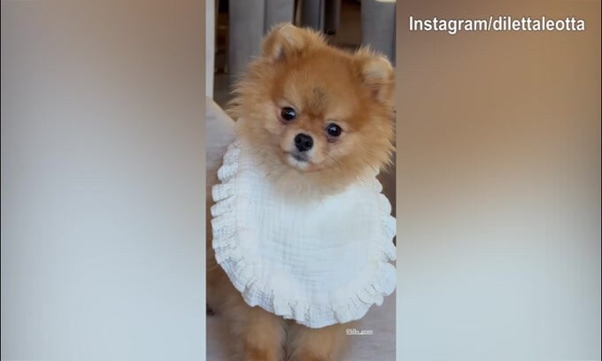 Lillo, ma come ti sei vestito?