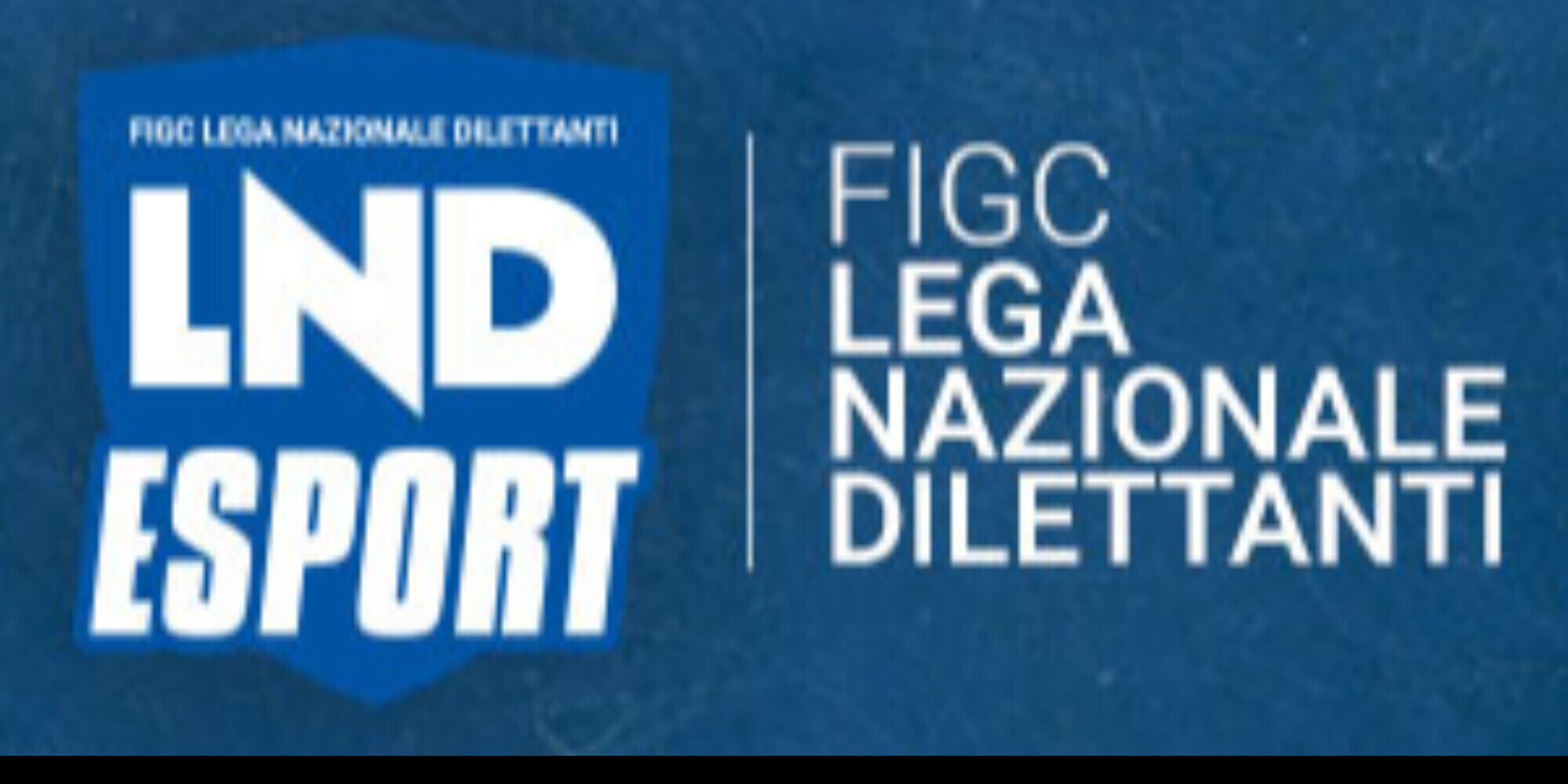 “Vinciamo Insieme”: Il calcio virtuale per l'inclusione sociale