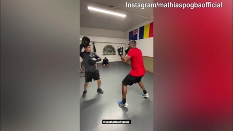 Mathias Pogba, che colpi a boxe
