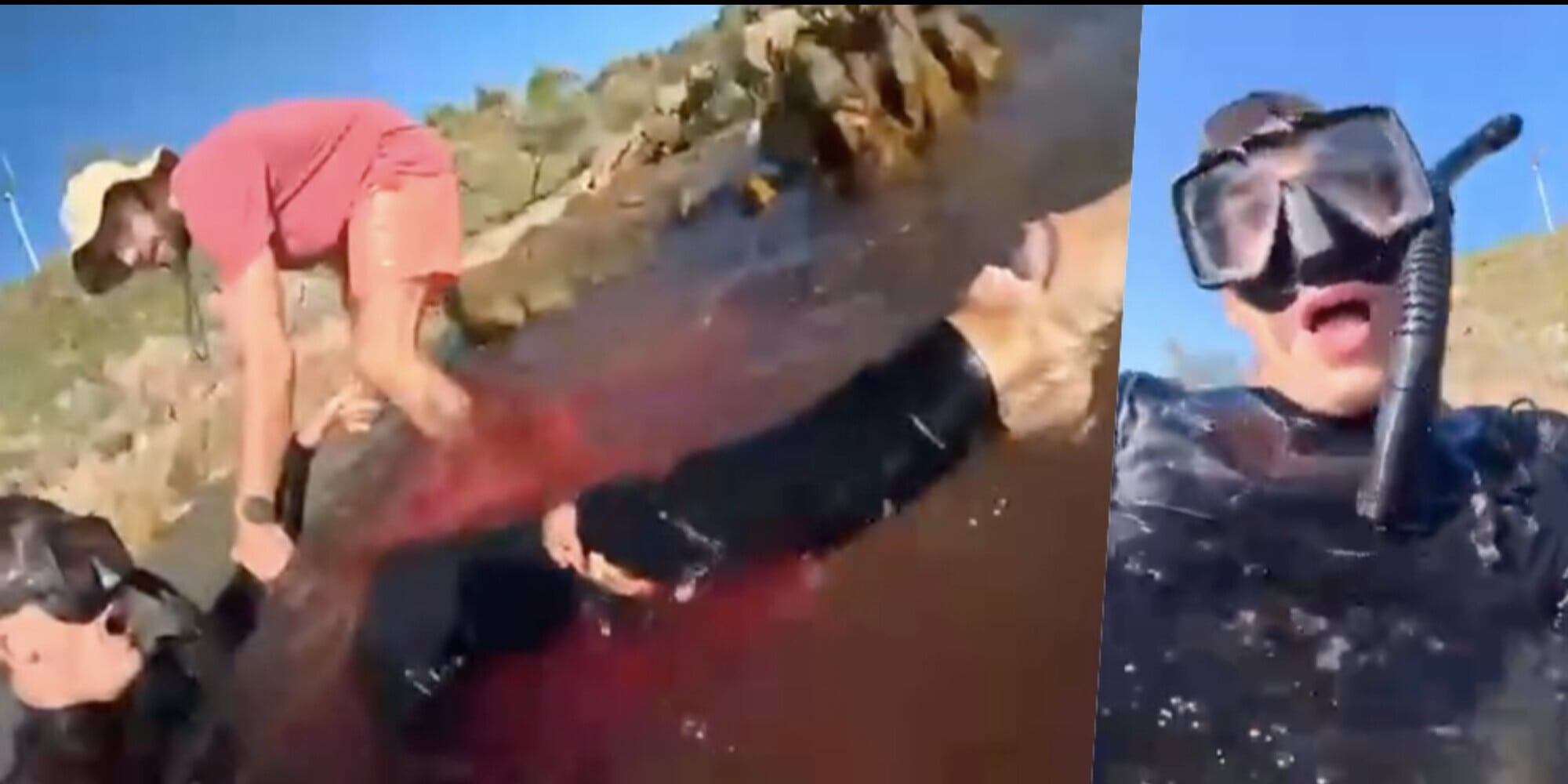 Australia, italiano attaccato da uno squalo: video e messaggio shock
