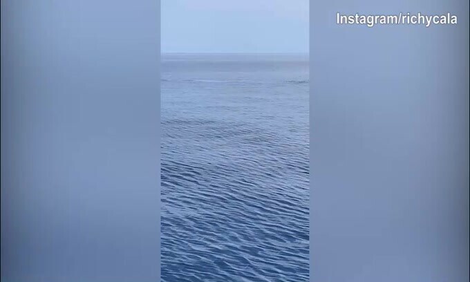 Bologna, Calafiori in acqua alle Maldive: "Piccoli sogni che si realizzano…"