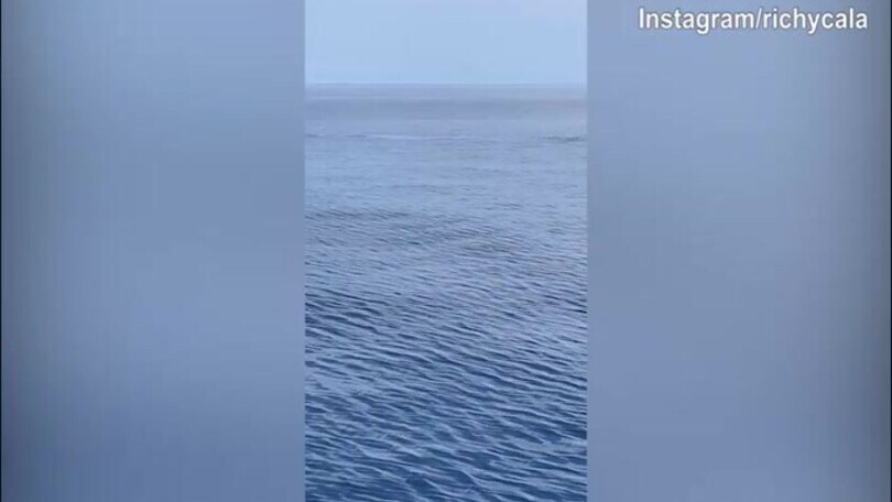 Bologna, Calafiori in acqua alle Maldive: "Piccoli sogni che si realizzano…"
