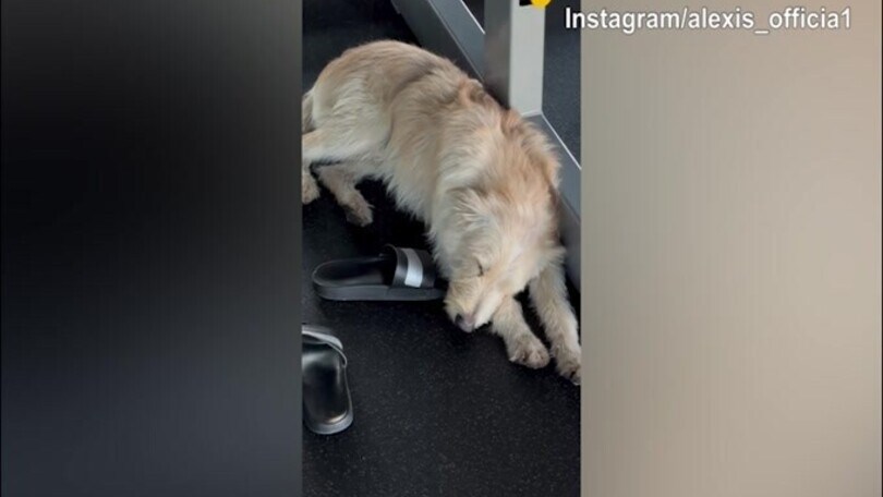 Sanchez si allena in palestra con un amico..."speciale"