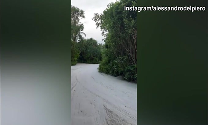 Alessandro Del Piero alle Maldive, giro in bicicletta per l'ex capitano Juventus