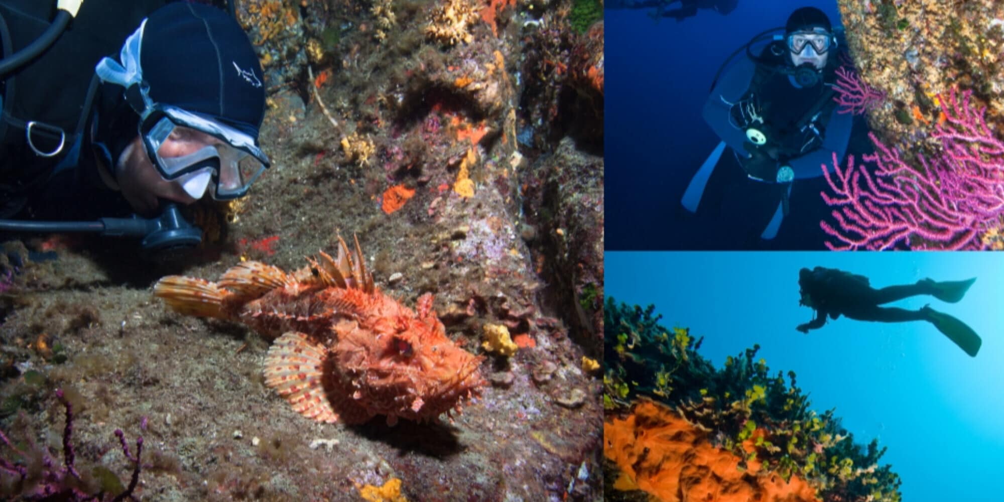 L'altra Sardegna, sott'acqua: un vero paradiso del diving