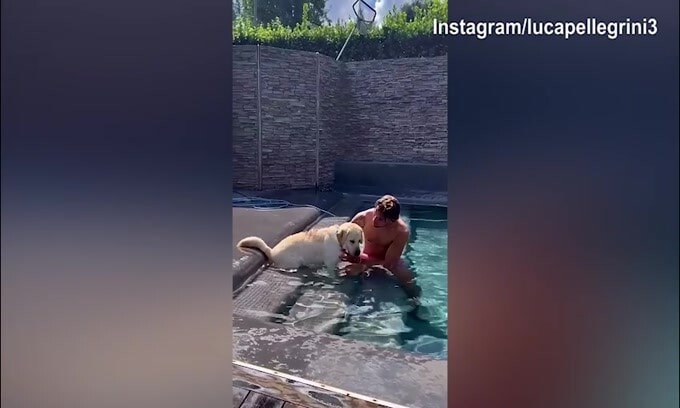 Luca Pellegrini, che amore per il suo amico a quattro zampe