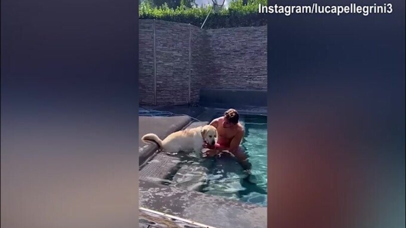 Luca Pellegrini, che amore per il suo amico a quattro zampe