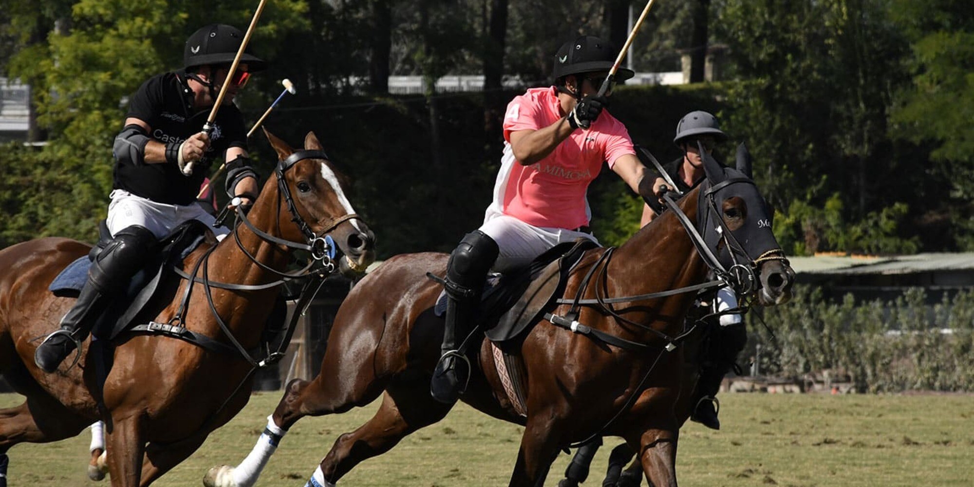Polo For Smiles, evento di beneficenza a Roma