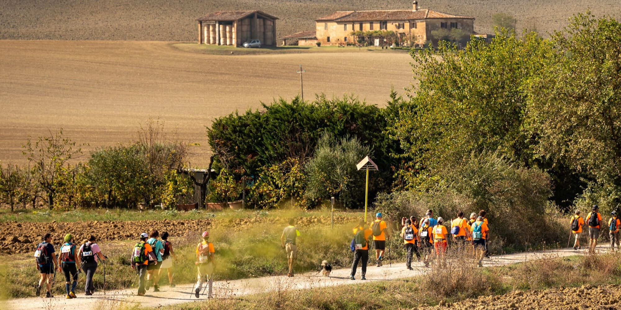 Walking Francigena Ultramarathon, un fine settimana con storia, natura e tradizioni