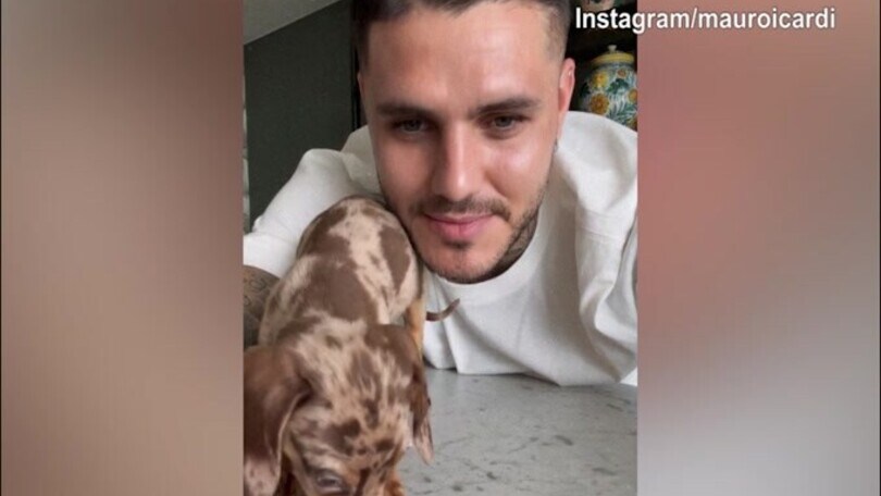 Mauro Icardi da Wanda Nara in Argentina? Lui posta video con un cagnolino...
