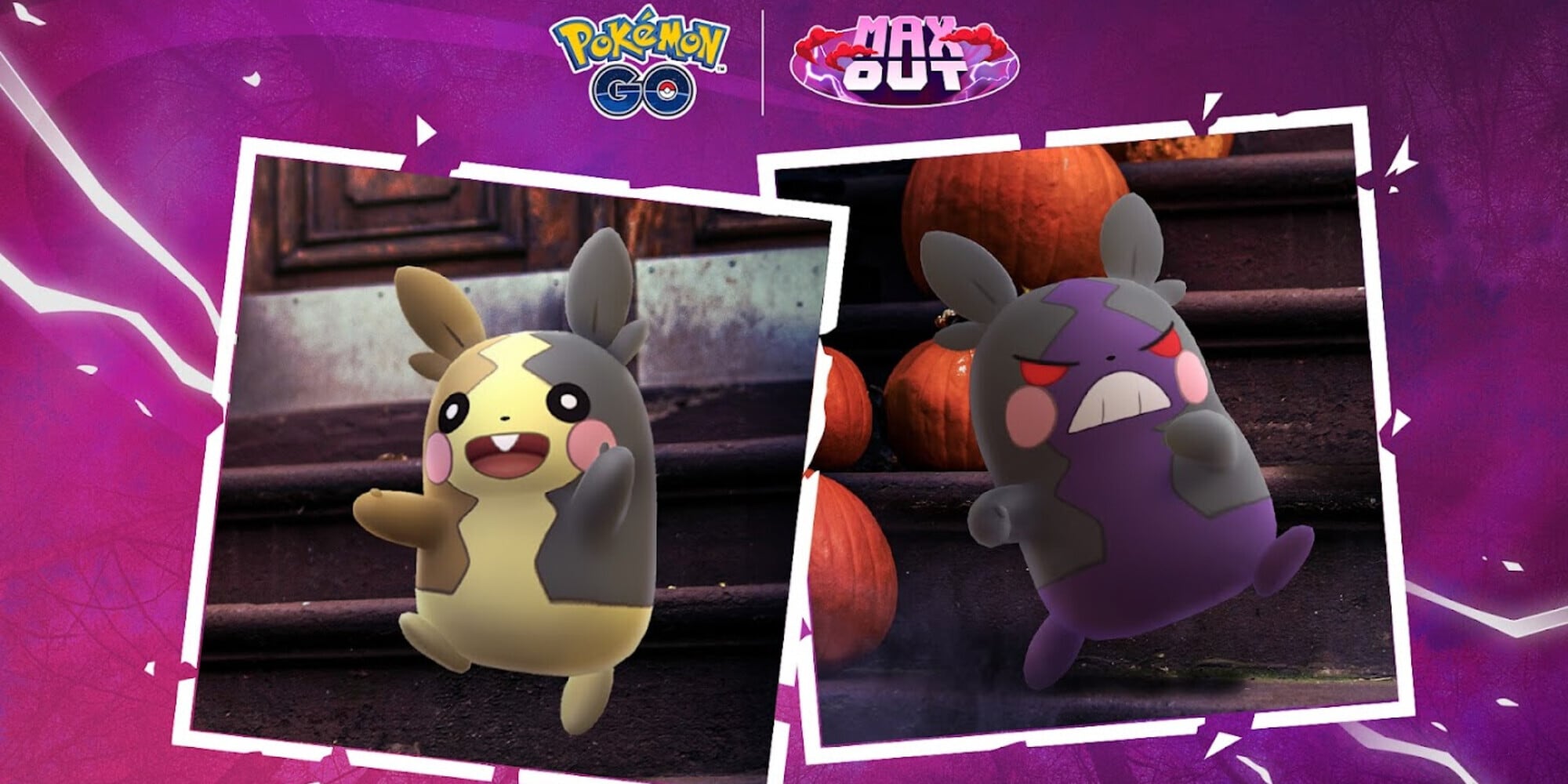 Pokémon GO celebra halloween con Morpeko e tante personalizzazioni: la guida