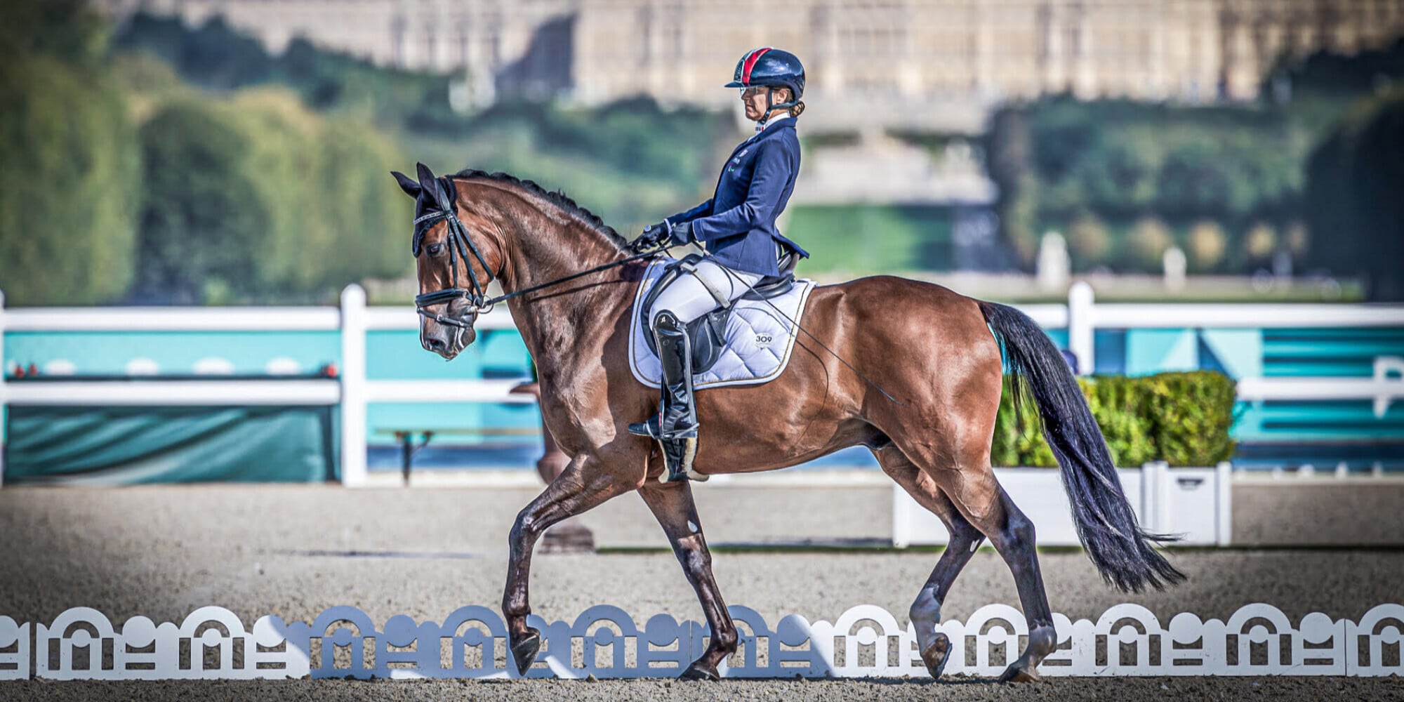 Genova a cavallo con il Festival degli Sport Equestri