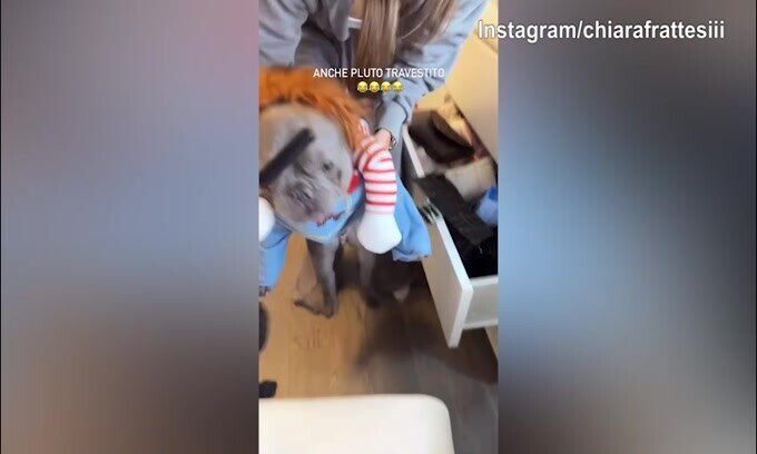 Incredibile: il cane di Chiara Frattesi è...irroconoscibile!
