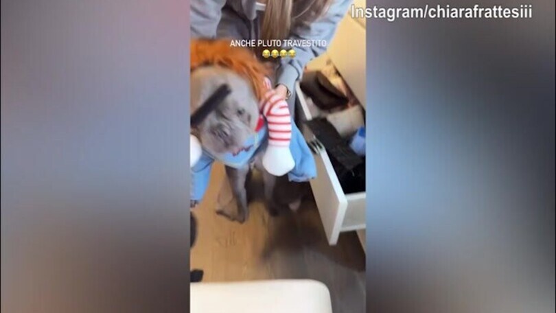 Incredibile: il cane di Chiara Frattesi è...irroconoscibile!