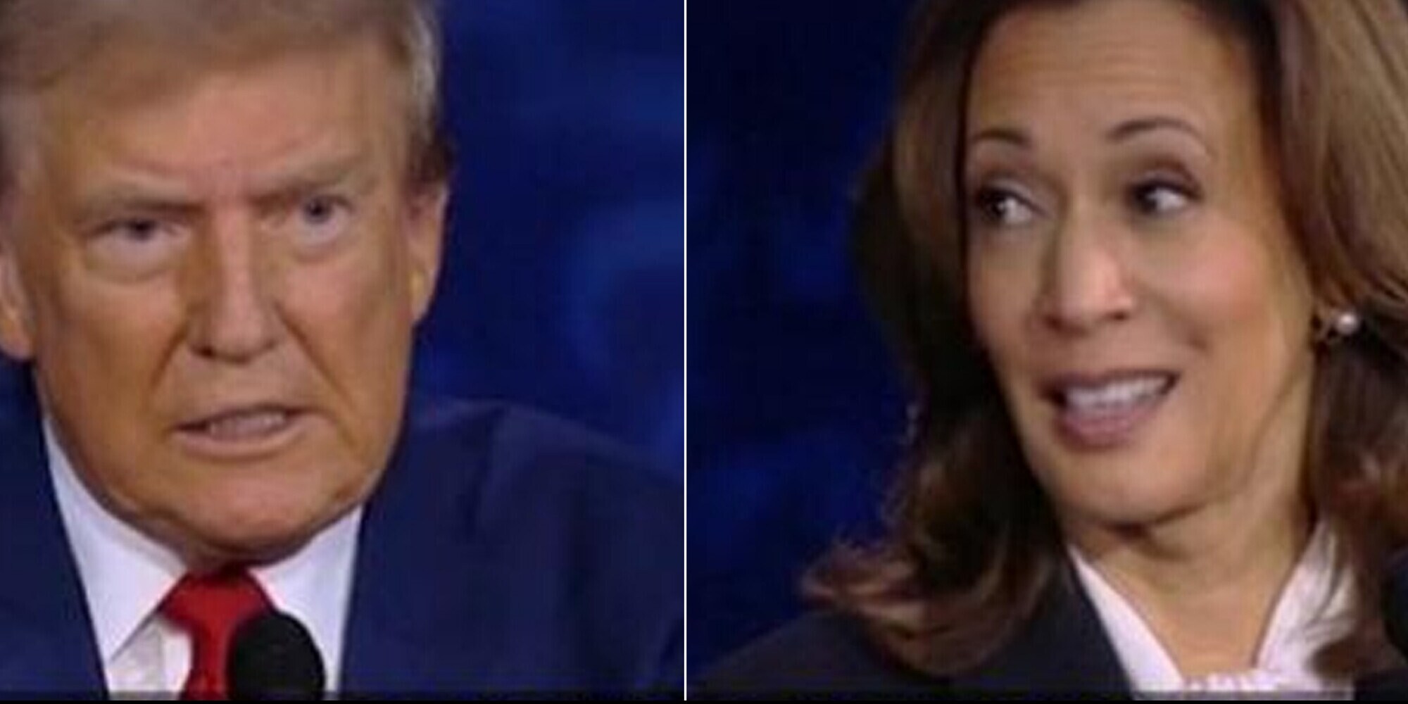 Elezioni Usa risultati, dove vederli in tv e a che ora