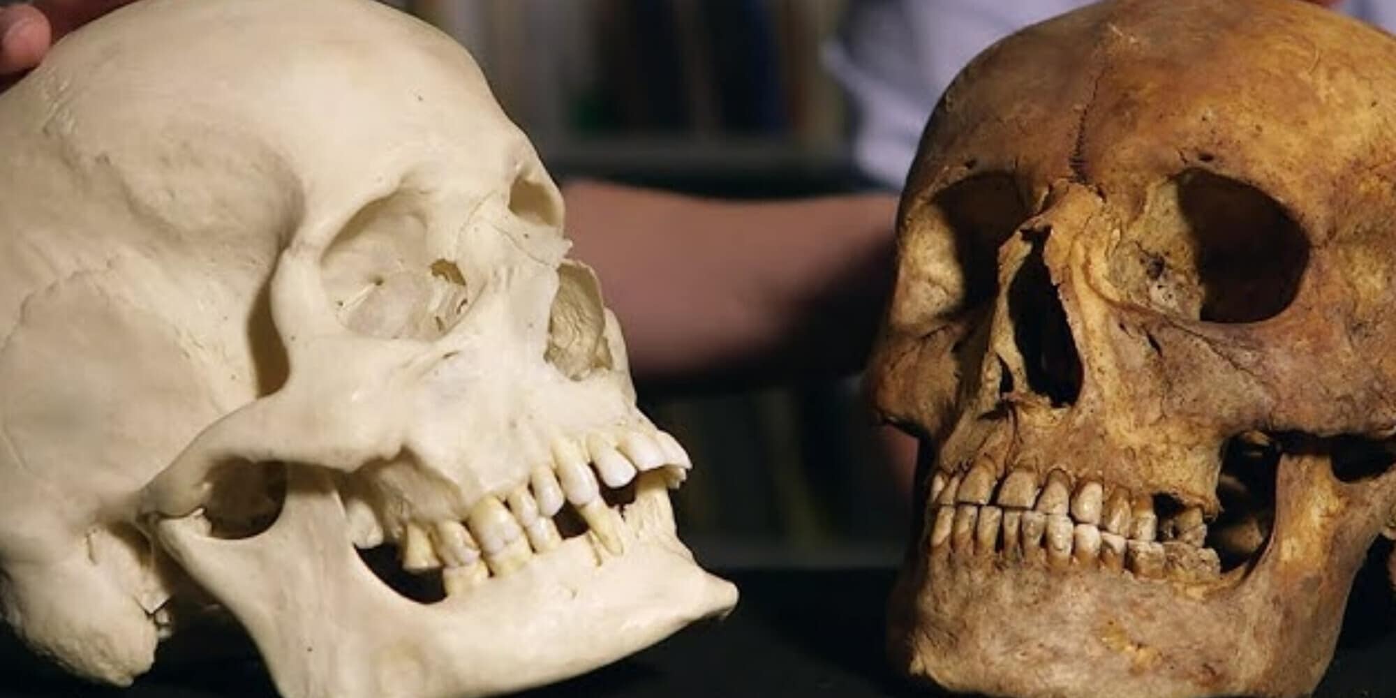 Gli scienziati hanno scoperto una nuova specie umana: può cambiare tutto