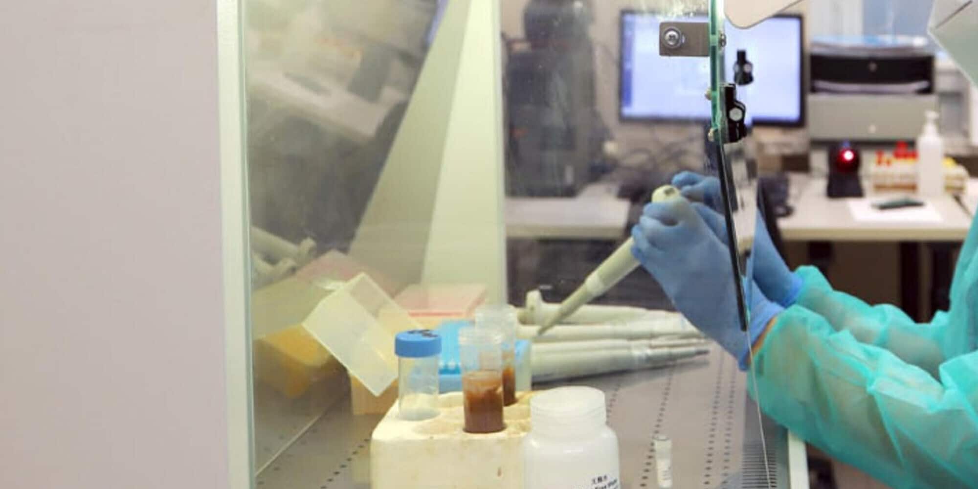 Batteri specchio, l'allarme degli scienziati: "Distruggeranno la Terra, fermate la ricerca"