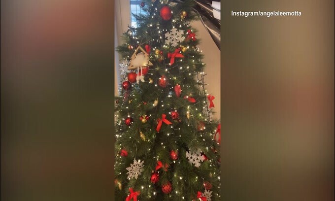 Albero di Natale bianconero in casa Motta