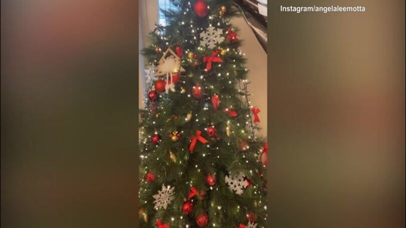 Albero di Natale bianconero in casa Motta