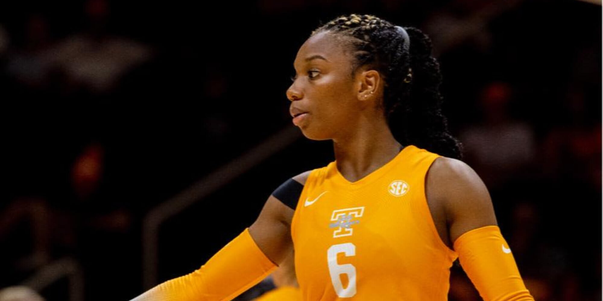 Volley Mercato: la statunitense Erikah Lovett a Costa Volpino