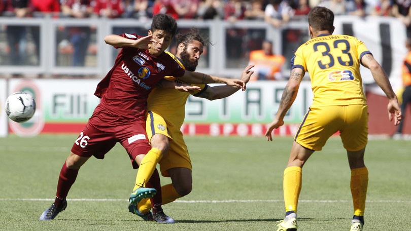 Trapani-Verona 0-2: Pecchia aggancia la Spal