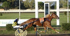 Unicka a spasso nel Derby