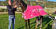 Classifiche 2016: sbanca Casillo