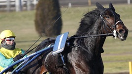 Un Derby da cervelloni
