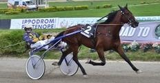 Ippica, Rue Varenne Dany verso il Lotteria Ippica, Rue Varenne Dany verso il Lotteria