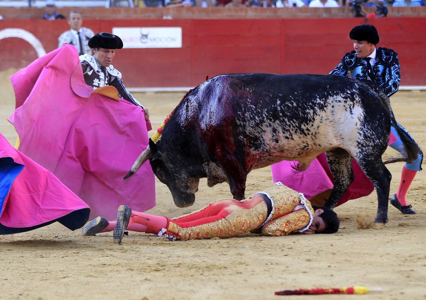 Spagna, Torero muore durante la corrida