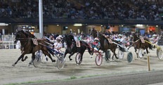 A Cesena finale Superfrustino 2016 A Cesena finale Superfrustino 2016