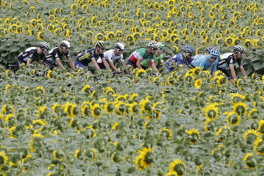 Tour de France, Kittel vince la decima tappa Tour de France, Kittel vince la decima tappa