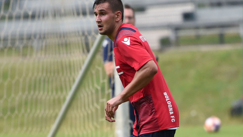 Calciomercato Bologna, Boldor passa al Montreal Calciomercato Bologna, Boldor passa al Montreal