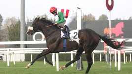 Full Drago, vittoria e infortunio Full Drago, vittoria e infortunio
