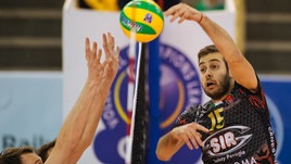 Volley: Champions League, Perugia è alla Final Four