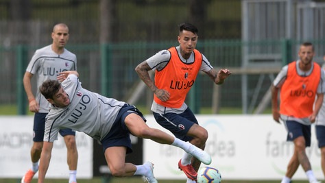 Calciomercato Bologna, Avenatti e Petkovic verso il prestito