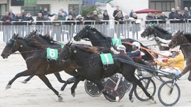 #10/11/2018 Ippicanews