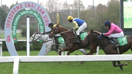 #12/11/2018 Ippicanews