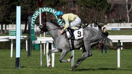 #6/3/2019 Ippicanews