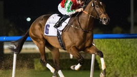 #30/3/2019 Ippicanews