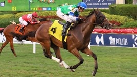 Panici fa 600 negli States