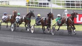 #8/5/2019 Ippicanews