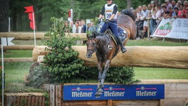 Completo: una scelta tra sei