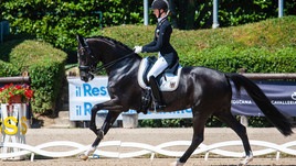 Dressage: Germania, che avvio!