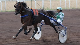 Aramis Bar, sfidante Derby