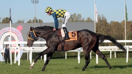 #27/10/2019 Ippicanews