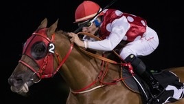 #25/11/2019 Ippicanews