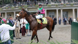 Anda Muchacho, incidente di box fatale