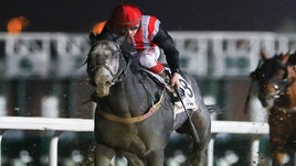 #5/12/2019 Ippicanews